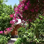 Lemon Garden Bed & Breakfast