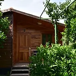 Bed & Breakfast Lemon Garden Çıralı