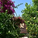 Bed & Breakfast Lemon Garden 3*
