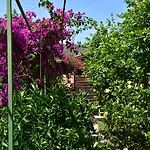 Lemon Garden Bed & Breakfast Çıralı