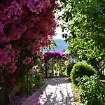 Lemon Garden Bed & Breakfast Çıralı