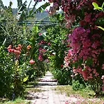 Lemon Garden Bed & Breakfast 3*