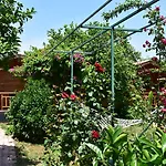 Bed & Breakfast Lemon Garden 3*
