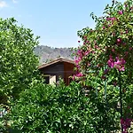 Bed & Breakfast Lemon Garden 3*