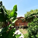Bed & Breakfast Lemon Garden