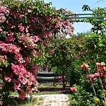 Lemon Garden Bed & Breakfast