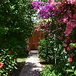 Lemon Garden