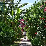 Bed & Breakfast Lemon Garden Çıralı