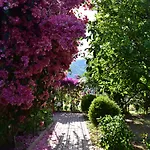 Bed & Breakfast Lemon Garden 3*