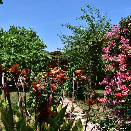 Lemon Garden Bed & Breakfast