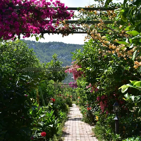 Bed & Breakfast Lemon Garden Çıralı