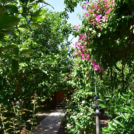 Lemon Garden Bed & Breakfast