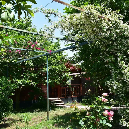 Lemon Garden Çıralı