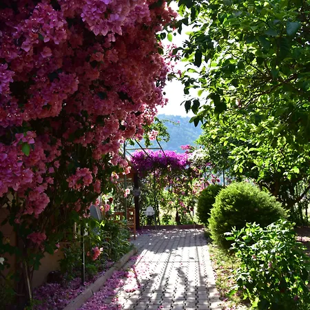 Lemon Garden לינה וארוחת בוקר Çıralı
