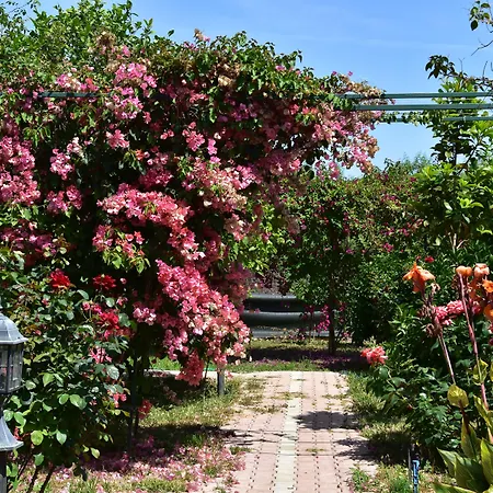 Lemon Garden לינה וארוחת בוקר Çıralı