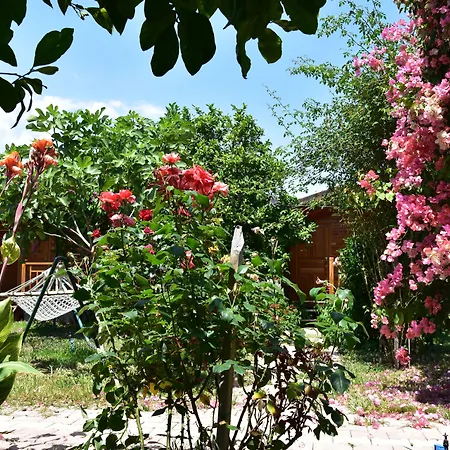 Lemon Garden 3* Çıralı