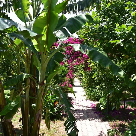Lemon Garden לינה וארוחת בוקר