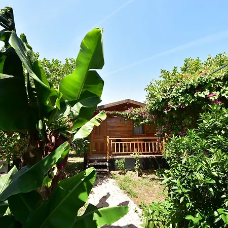 לינה וארוחת בוקר Lemon Garden