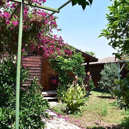 Lemon Garden 3* Çıralı