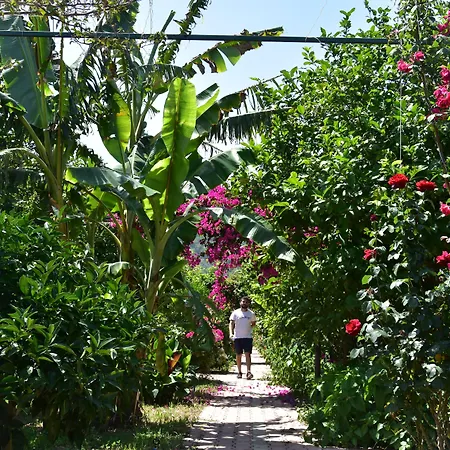 לינה וארוחת בוקר Lemon Garden Çıralı