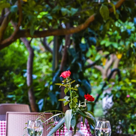 Lemon Garden B&B Çıralı