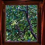 Lemon Garden Bed and breakfast Çıralı