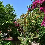 Lemon Garden Çıralı