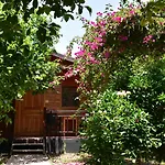 Lemon Garden