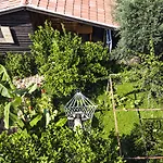 Lemon Garden Bed and breakfast Çıralı