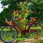 Lemon Garden Çıralı