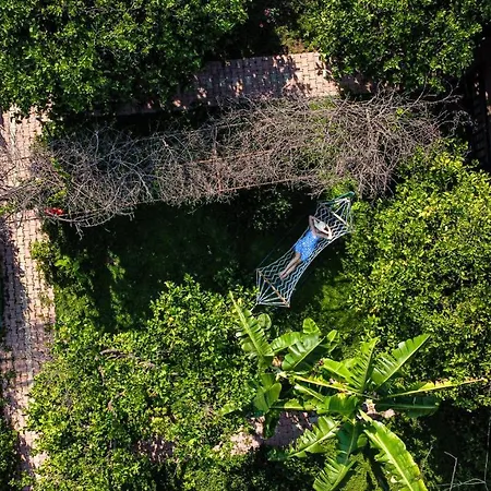 Alojamento de Acomodação e Pequeno-almoço Lemon Garden 3*