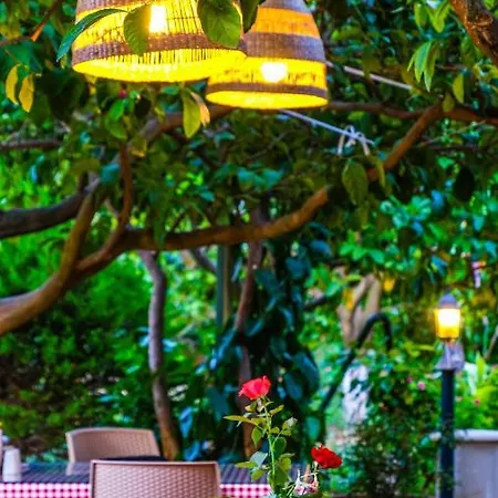 Bed & Breakfast Lemon Garden