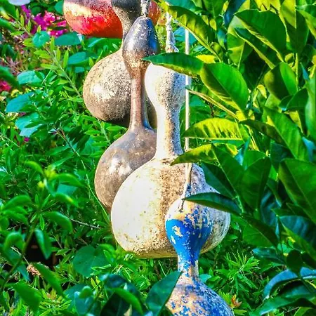 Bed & Breakfast Lemon Garden Çıralı