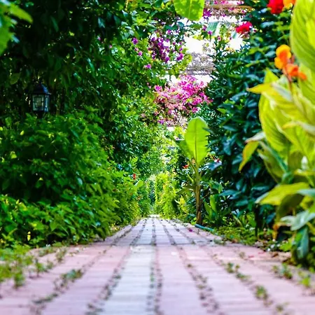 Alojamento de Acomodação e Pequeno-almoço Lemon Garden Çıralı