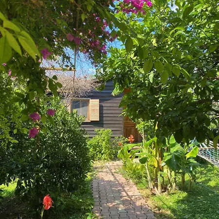 Bed & Breakfast Lemon Garden