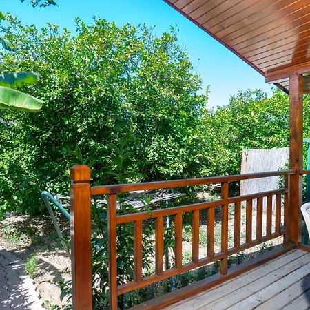 Lemon Garden 3* Cirali
