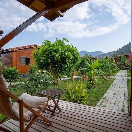 לינה וארוחת בוקר Lemon Garden