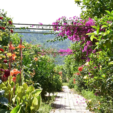 לינה וארוחת בוקר Lemon Garden