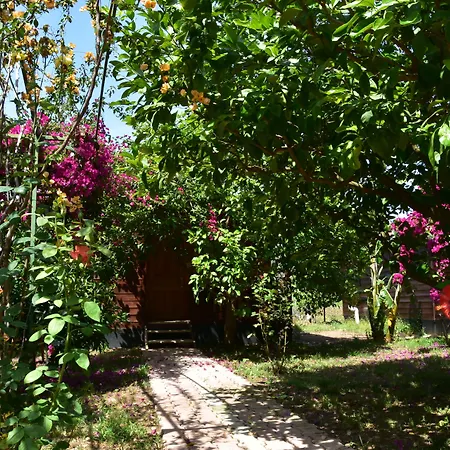 Lemon Garden Çıralı