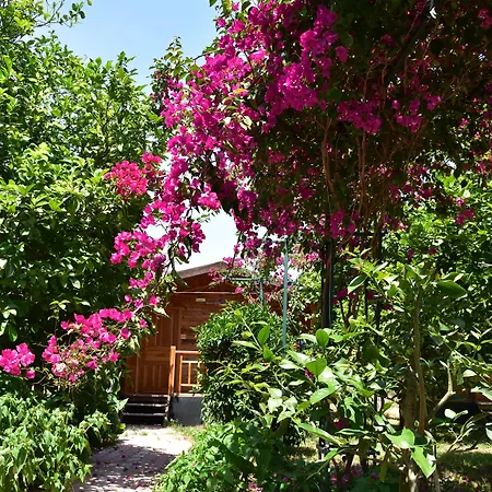 Lemon Garden לינה וארוחת בוקר