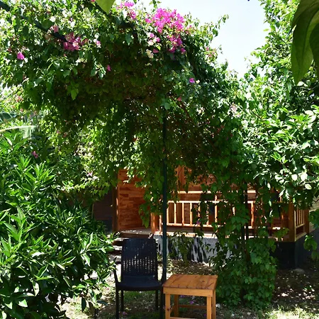 Lemon Garden Çıralı