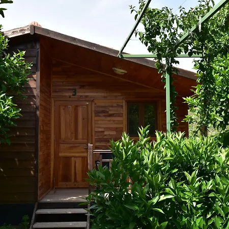 לינה וארוחת בוקר Lemon Garden Çıralı