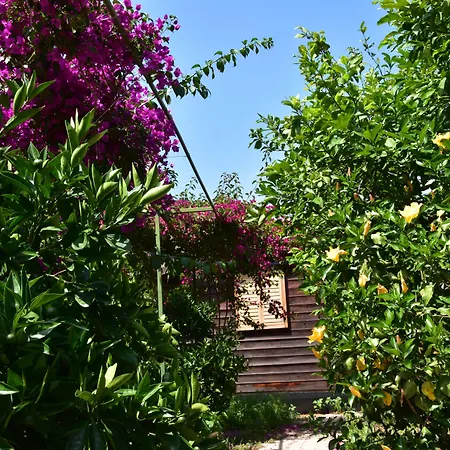 לינה וארוחת בוקר Lemon Garden 3*