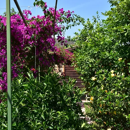 Lemon Garden Alojamento de Acomodação e Pequeno-almoço Çıralı