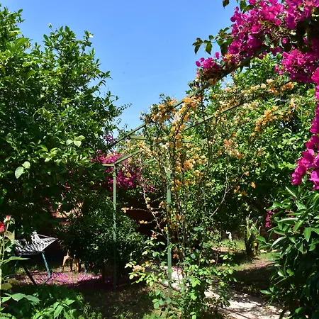 Lemon Garden Çıralı