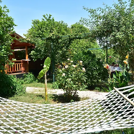 Lemon Garden Alojamento de Acomodação e Pequeno-almoço Çıralı