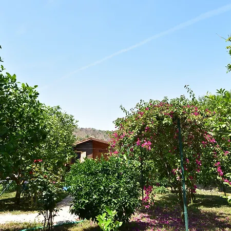 Lemon Garden Alojamento de Acomodação e Pequeno-almoço 3*