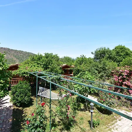 Lemon Garden Bed & Breakfast