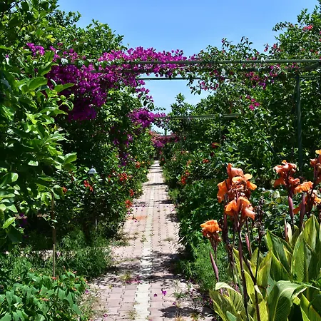 לינה וארוחת בוקר Lemon Garden Çıralı