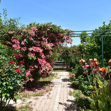 Alojamento de Acomodação e Pequeno-almoço Lemon Garden